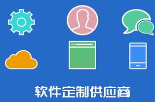 企業(yè)軟件定制服務開發(fā)有哪些優(yōu)勢呢